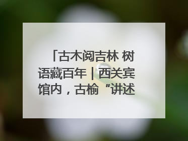 古木阅吉林 树语藏百年｜西关宾馆内，古榆“讲述”时光絮语