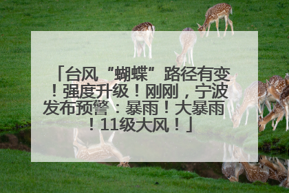 台风“蝴蝶”路径有变！强度升级！刚刚，宁波发布预警：暴雨！大暴雨！11级大风！