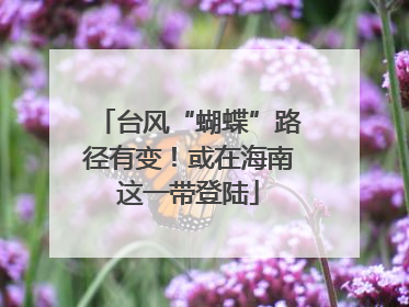 台风“蝴蝶”路径有变！或在海南这一带登陆