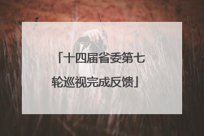 十四届省委第七轮巡视完成反馈