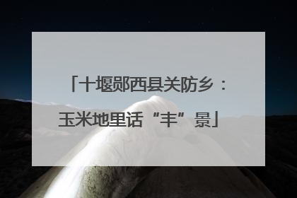十堰郧西县关防乡：玉米地里话“丰”景