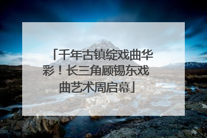 千年古镇绽戏曲华彩！长三角顾锡东戏曲艺术周启幕