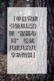 单县党建引领基层治理“谋篇布局” 绘就共建共治共享新图景