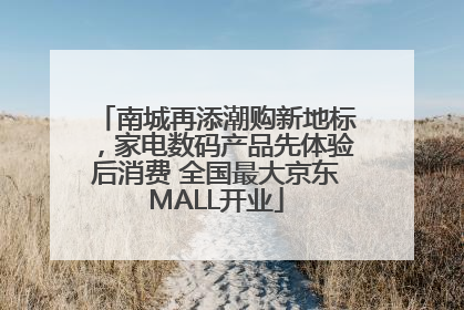 南城再添潮购新地标，家电数码产品先体验后消费 全国最大京东MALL开业