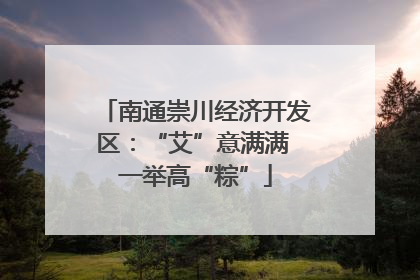 南通崇川经济开发区：“艾”意满满 一举高“粽”