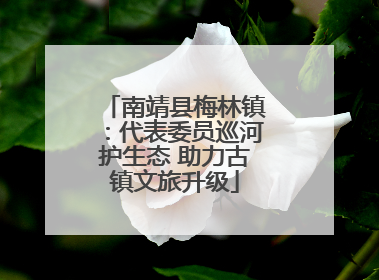 南靖县梅林镇：代表委员巡河护生态 助力古镇文旅升级