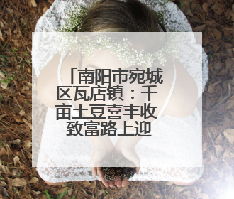 南阳市宛城区瓦店镇：千亩土豆喜丰收 致富路上迎“薯”光