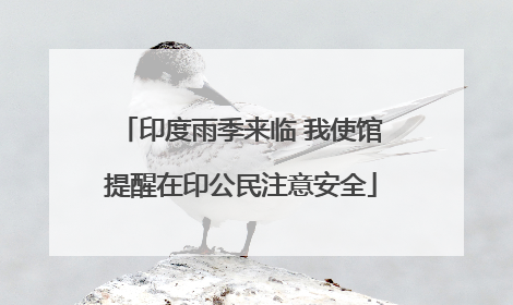 印度雨季来临 我使馆提醒在印公民注意安全