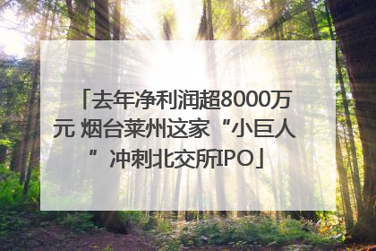 去年净利润超8000万元 烟台莱州这家“小巨人”冲刺北交所IPO