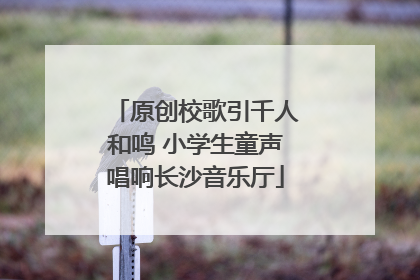 原创校歌引千人和鸣 小学生童声唱响长沙音乐厅