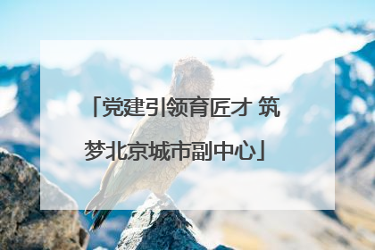 党建引领育匠才 筑梦北京城市副中心