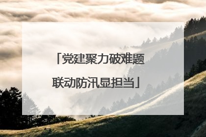 党建聚力破难题 联动防汛显担当