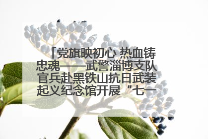 党旗映初心 热血铸忠魂——武警淄博支队官兵赴黑铁山抗日武装起义纪念馆开展“七一”主题党日活动