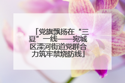 党旗飘扬在“三夏”一线——宛城区溧河街道党群合力筑牢禁烧防线