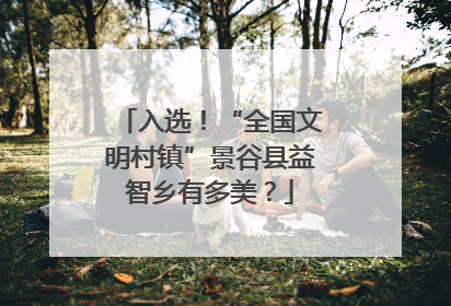 入选！“全国文明村镇”景谷县益智乡有多美？