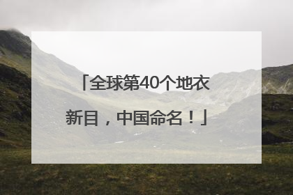 全球第40个地衣新目，中国命名！
