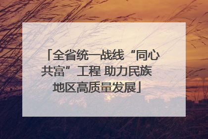 全省统一战线“同心共富”工程 助力民族地区高质量发展