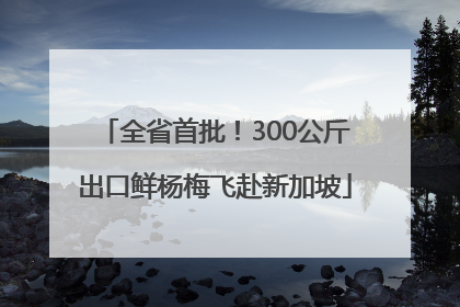 全省首批！300公斤出口鲜杨梅飞赴新加坡
