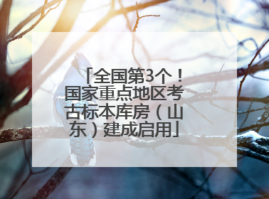 全国第3个！国家重点地区考古标本库房（山东）建成启用