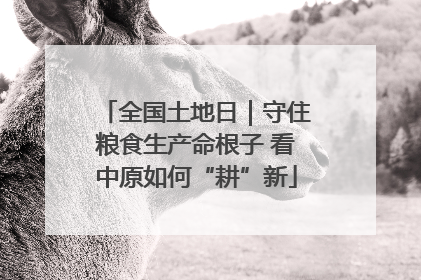 全国土地日｜守住粮食生产命根子 看中原如何“耕”新