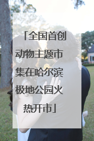 全国首创动物主题市集在哈尔滨极地公园火热开市