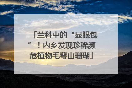 兰科中的“显眼包”！内乡发现珍稀濒危植物毛萼山珊瑚