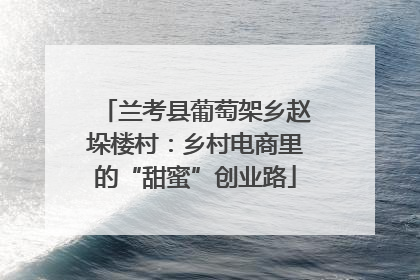 兰考县葡萄架乡赵垛楼村：乡村电商里的“甜蜜”创业路