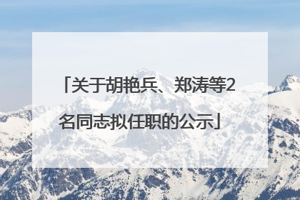 关于胡艳兵、郑涛等2名同志拟任职的公示