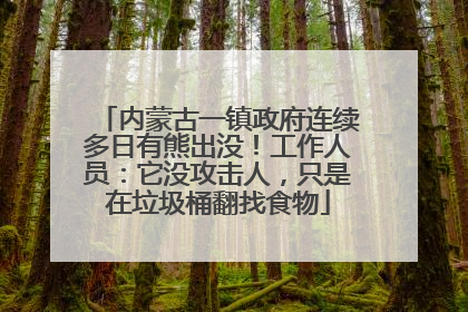 内蒙古一镇政府连续多日有熊出没！工作人员：它没攻击人，只是在垃圾桶翻找食物