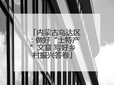 内蒙古乌达区：做好“土特产”文章 写好乡村振兴答卷