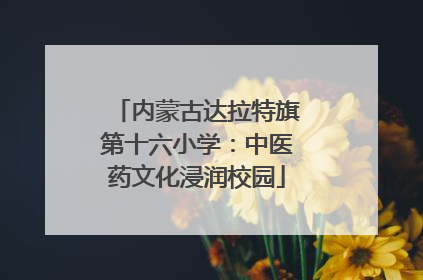 内蒙古达拉特旗第十六小学：中医药文化浸润校园
