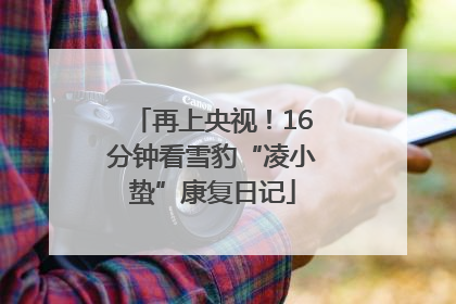 再上央视！16分钟看雪豹“凌小蛰”康复日记