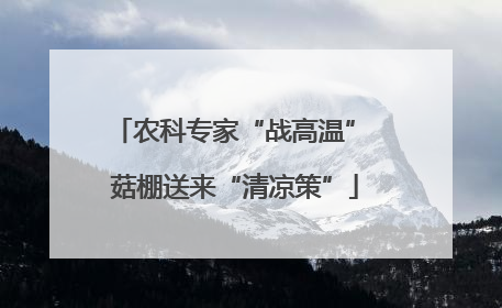农科专家“战高温” 菇棚送来“清凉策”