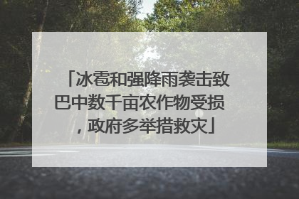 冰雹和强降雨袭击致巴中数千亩农作物受损，政府多举措救灾