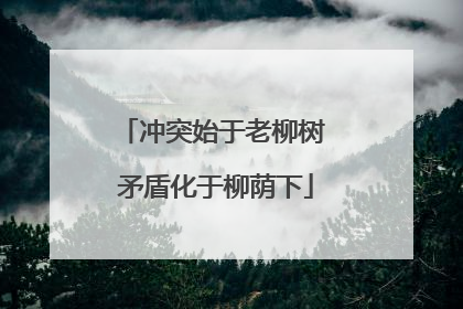 冲突始于老柳树 矛盾化于柳荫下