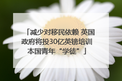 减少对移民依赖 英国政府将投30亿英镑培训本国青年“学徒”