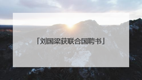 刘国梁获联合国聘书