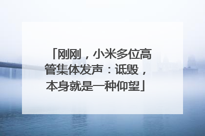刚刚，小米多位高管集体发声：诋毁，本身就是一种仰望