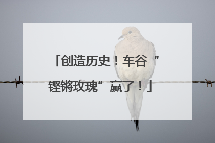 创造历史！车谷“铿锵玫瑰”赢了！
