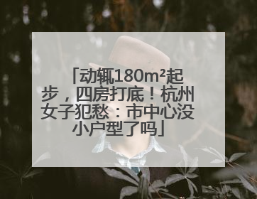 动辄180m²起步，四房打底！杭州女子犯愁：市中心没小户型了吗