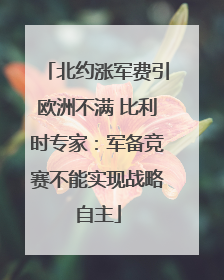 北约涨军费引欧洲不满 比利时专家：军备竞赛不能实现战略自主