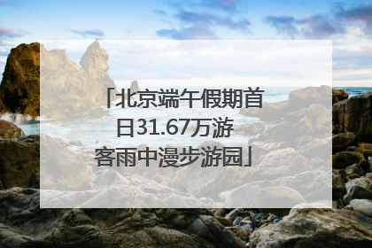 北京端午假期首日31.67万游客雨中漫步游园