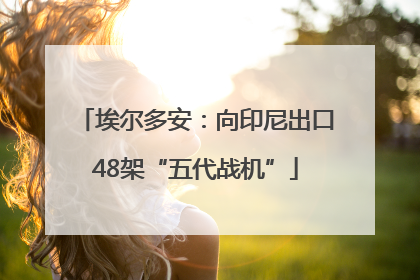 埃尔多安：向印尼出口48架“五代战机”