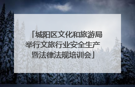 城阳区文化和旅游局举行文旅行业安全生产暨法律法规培训会