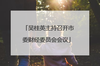 吴桂英主持召开市委财经委员会会议