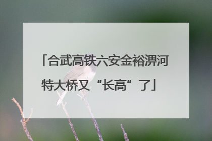 合武高铁六安金裕淠河特大桥又“长高”了