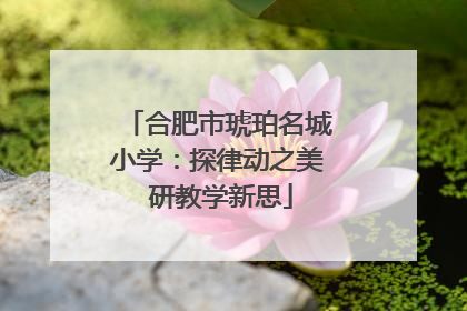 合肥市琥珀名城小学：探律动之美 研教学新思