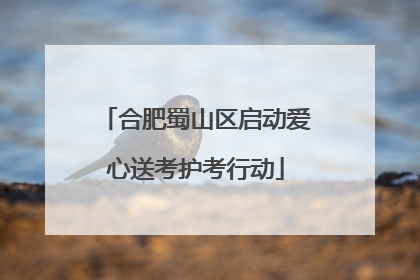 合肥蜀山区启动爱心送考护考行动