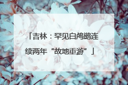 吉林：罕见白鸬鹚连续两年“故地重游”