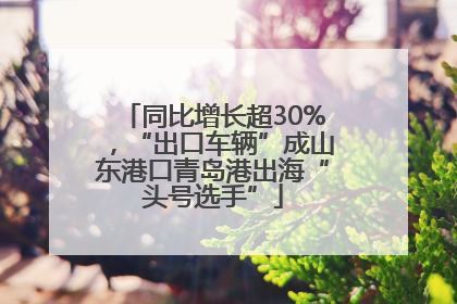同比增长超30%，“出口车辆”成山东港口青岛港出海“头号选手”